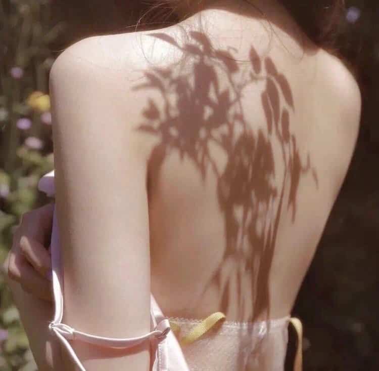 奇幻史诗：指环王三部曲